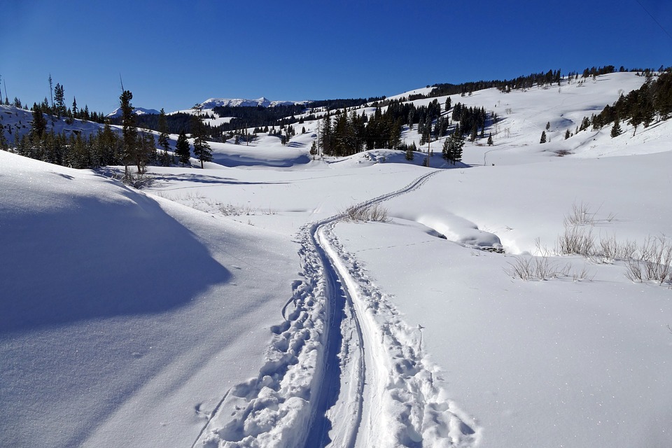 https://pixabay.com/de/schnee-winter-skilangl%C3%A4ufer-verfolgt-1235411/